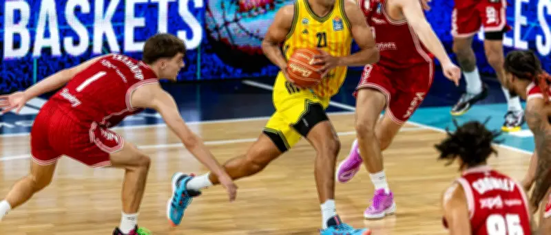 Alba Berlin vor Entscheidungsspiel gegen Bamberg Baskets
