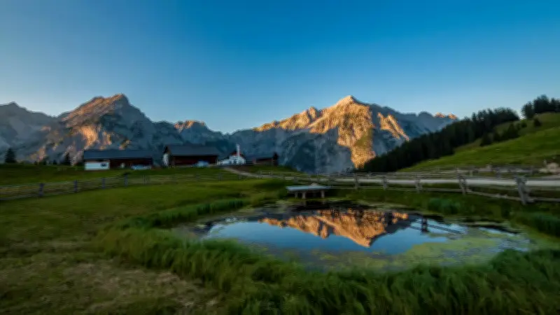 Almen-Sternwanderung in Tirol: Sechs Almen entdecken