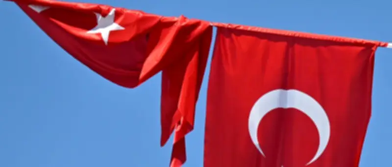 Über 200 Festnahmen vor Nato-Gipfel in Ankara
