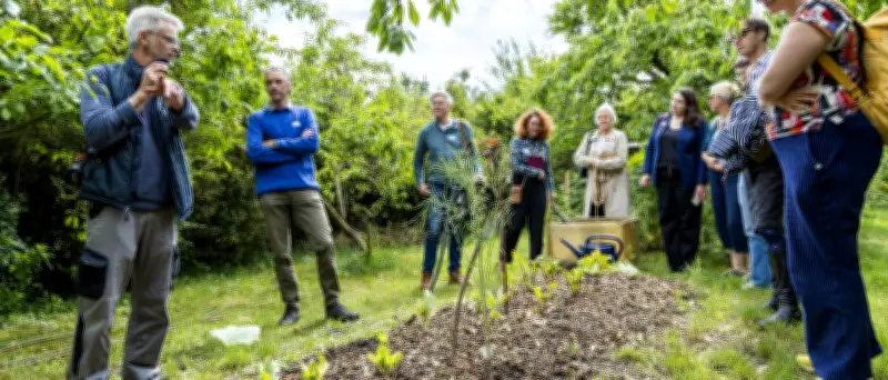 Berliner Firmengarten: Kaffeesatz fördert Artenvielfalt und Biodiversität