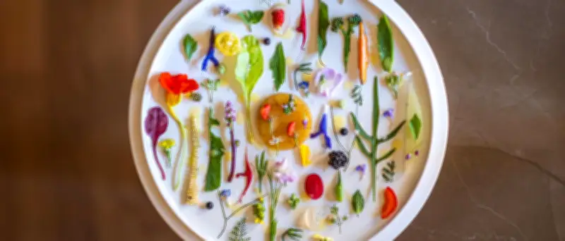Berlins beste vegetarische Restaurants: Sechs Top-Adressen für Gemüseküche