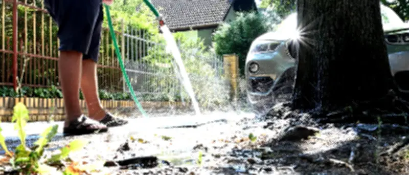 Berlins Straßenbäume richtig gießen: Tipps vom Senat