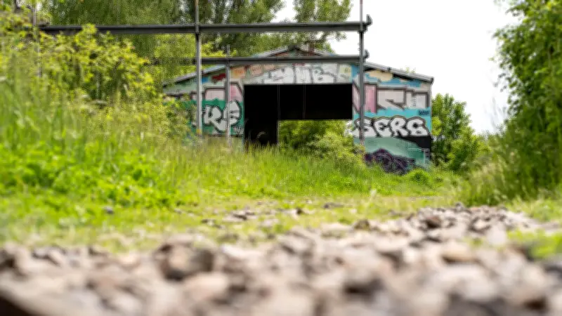 Biesenhorster Sand: Berlins Lost Place zwischen Geschichte und Natur
