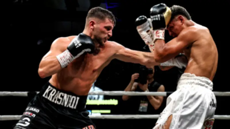 Box-Event in Ludwigsburg: Alle Kämpfe live im BILDplus-Stream