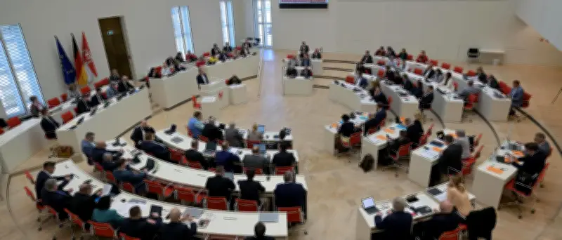 Brandenburg-Trend: AfD erreicht Höchstwert von 37 Prozent, BSW fällt auf vier Prozent