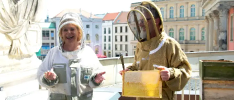 Brandenburger Landtagsbienen: 20 Kilo Honig geerntet