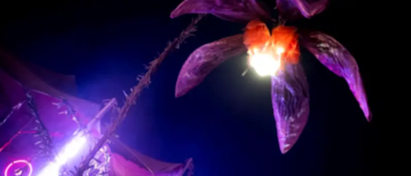 Brandenburgs Festivalsommer 2025: Feel, Nation of Gondwana, Wilde Möhre im Überblick