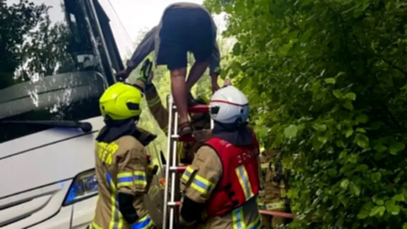 Busfahrer bleibt im Wald stecken: Kinder mit Taxis zur Jugendherberge