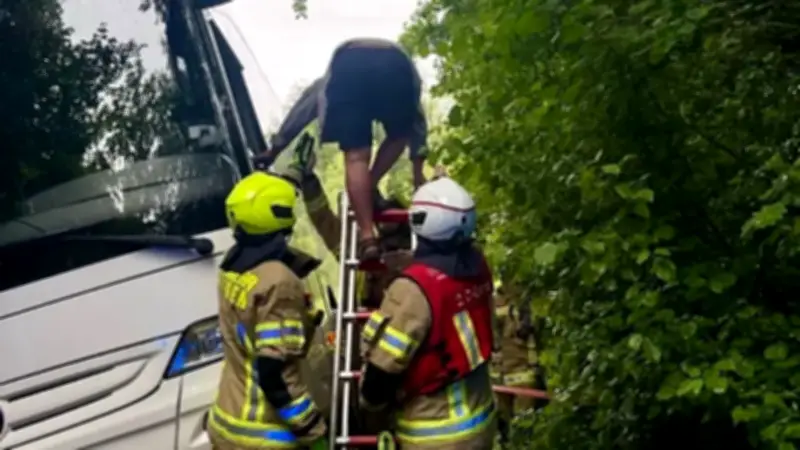 Busfahrer steckt mit Reisebus im Wald fest – Kinder mit Taxis