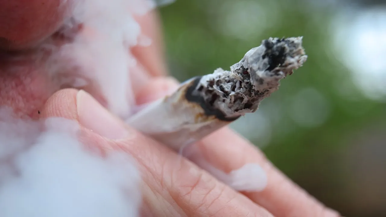 Cannabis bremst bei Jugendlichen die Gehirnentwicklung