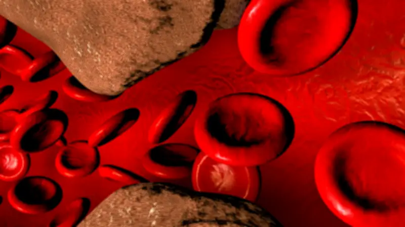 Cholesterin-Irrtümer: Experte klärt über die 8 größten Mythen auf