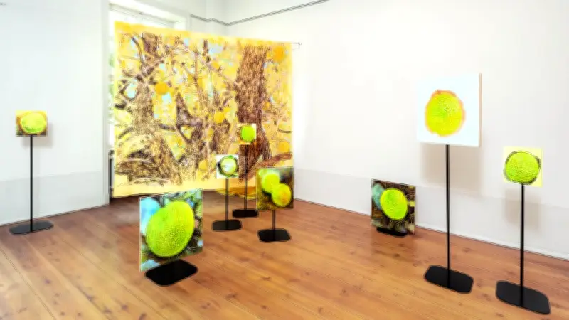 Das Wissen der Orange: Ausstellung über Geschichten hinter Dingen