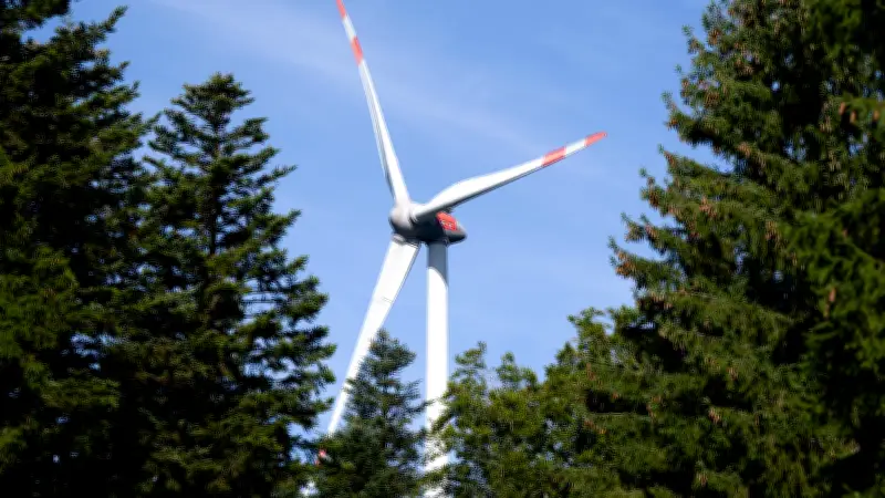 Deutschland erstmals seit 2023 wieder Netto-Exporteur von Strom