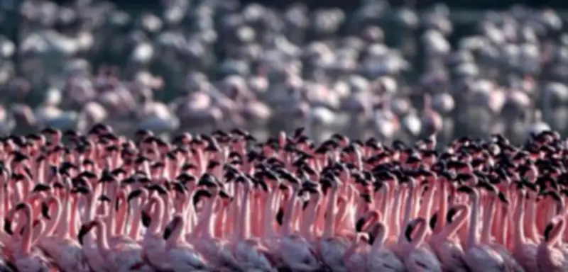 Die Bilder des Tages: Ein Rückblick auf den Mai 2026