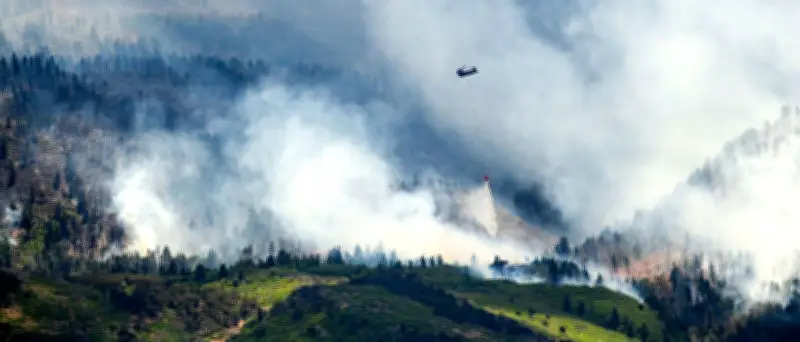 Drei US-Feuerwehrleute bei Waldbränden in Utah und Colorado getötet