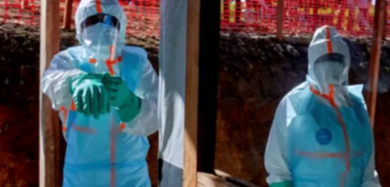 Ebolaausbruch in Afrika: Vielversprechende Impfstoffe gegen Bundibugyo-Virus