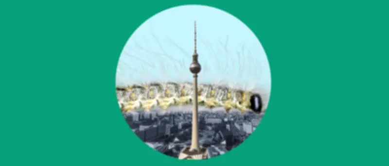 Eichenprozessionsspinner: Berlin kämpft gegen die Raupenplage