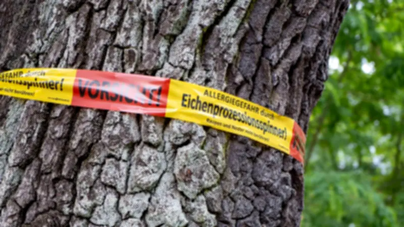 Eichenprozessionsspinner in Neukölln: Park besonders betroffen