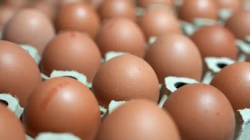 Eier-Betrüger in Vechta zu zwei Jahren Haft verurteilt
