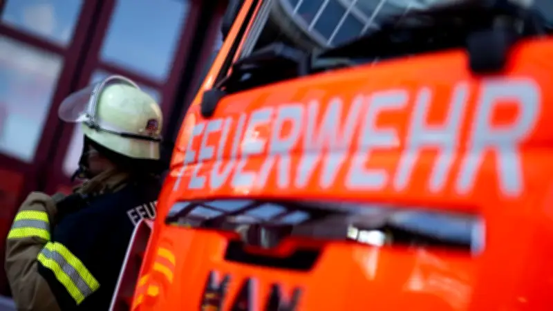Ekel-Alarm bei Berliner Feuerwehr: Schädlingsbefall in Charlottenburg-Nord