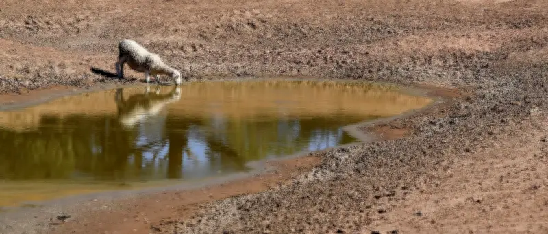 El Niño ist zurück: NOAA bestätigt Klimaphänomen
