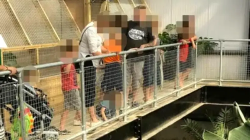 England: Mann wirft Kleinkind in Krokodilgehege – Lebensgefahr