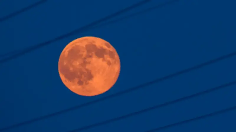 Erdbeermond am 30. Juni 2026: Diese vier Sternzeichen spüren ihn besonders