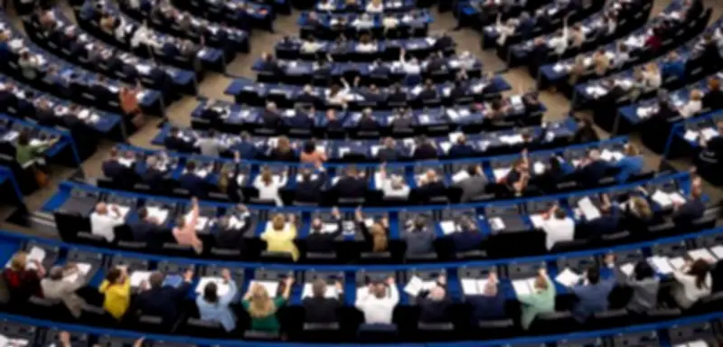 EU-Abgeordnete wollen AfD-Europartei die Finanzierung entziehen