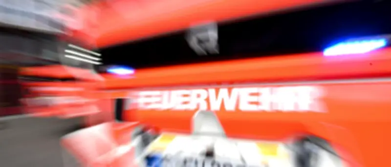 Feuerwehr rettet Reh aus Pool in NRW: Tier war sehr zutraulich