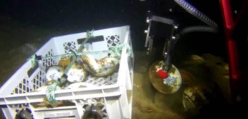 Forscher finden Porzellanschatz in Schiffswrack aus dem 18. Jahrhundert