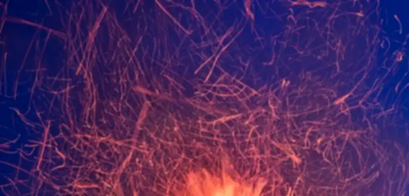 Frühmenschen nutzten Feuer schon vor 1,7 Millionen Jahren