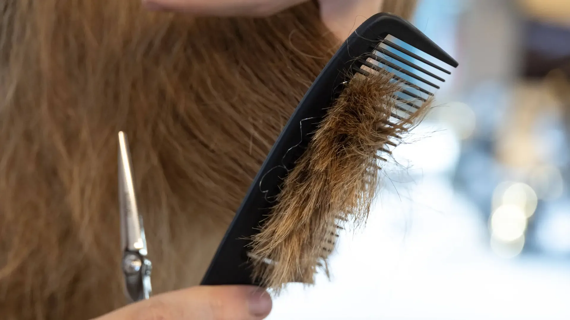 Friseure in Niedersachsen fordern Verzicht auf Rückzahlung von Corona-Hilfen