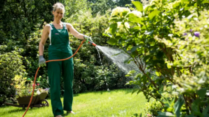Gartenpflanzen richtig gießen: Tipps für Wassermenge und Zeitpunkt