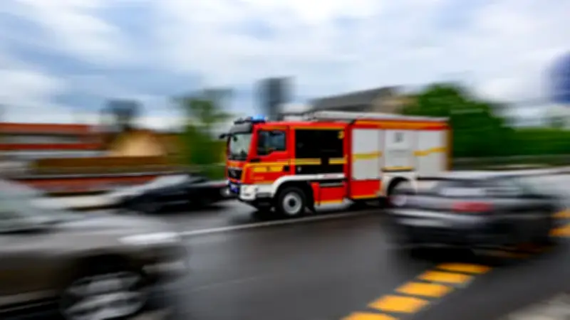 Gewitter in Dresden: Glimpflicher Verlauf mit umgestürztem Baum
