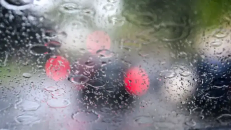 Gewitter und Schauer erwartet: Sonne am Wochenende in Berlin und Brandenburg