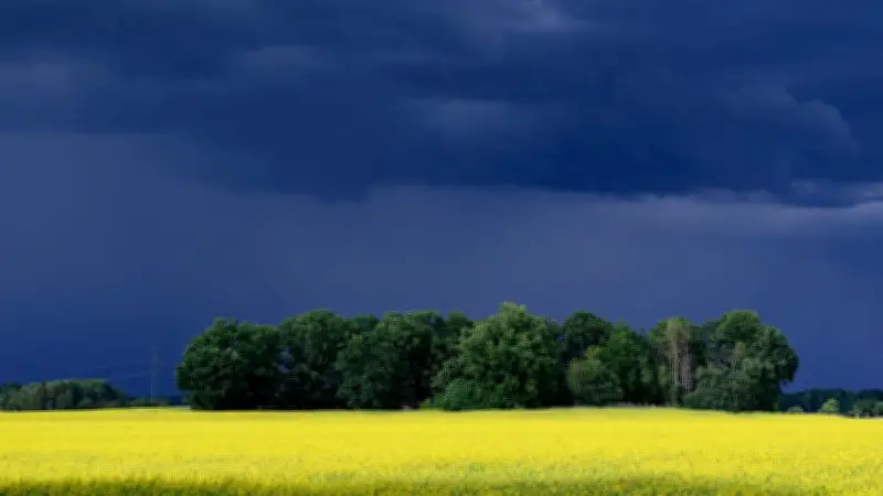 Gewitter und Schauer in Sachsen: Wochenende bringt Wetterwechsel
