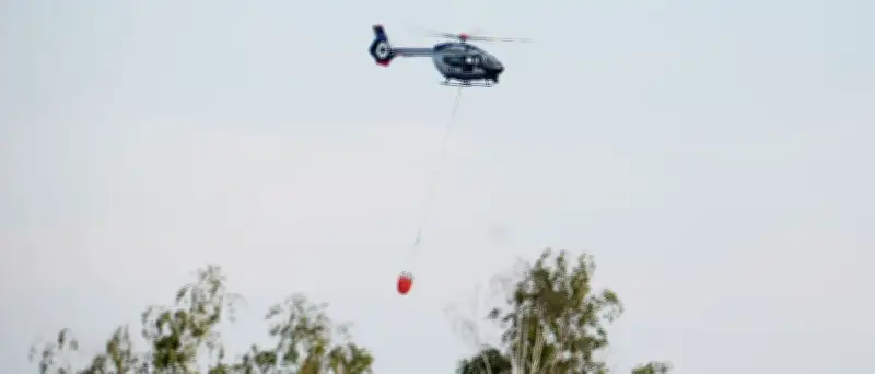 Gohrischheide: Feuerwehr hält Waldbrandfläche über Nacht – Windrisiko am Sonntag