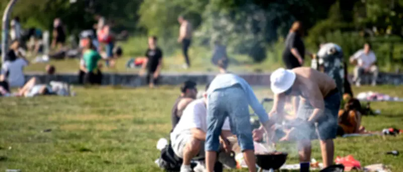 Görlitzer Park: Grillverbot wegen Eichenprozessionsspinner-Raupen