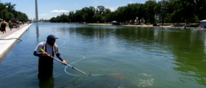 Grüner Pool in Washington: Trump sieht Vandalen am Werk