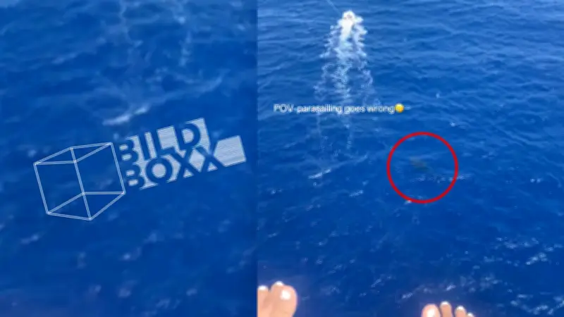 Hai-Alarm beim Parasailing: Video von Hawaii geht viral
