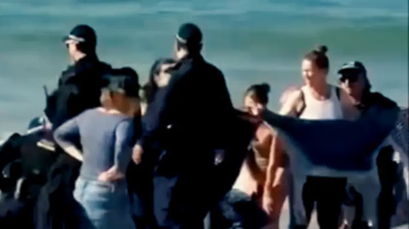 Hai-Attacke in Sydney: Schwimmerin vor Touristenstrand gebissen