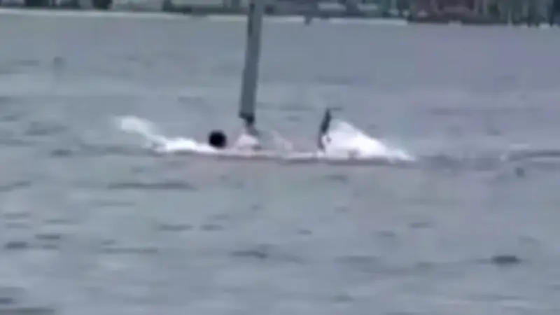 Haiangriff in Florida: Schwimmer kämpft um sein Leben