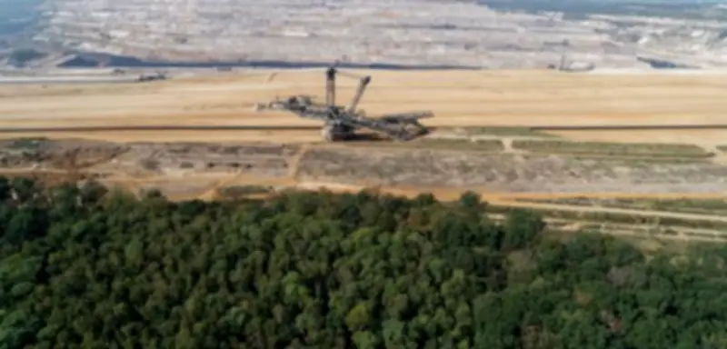 Hambacher Forst wird Naturschutzgebiet: Einigung mit RWE