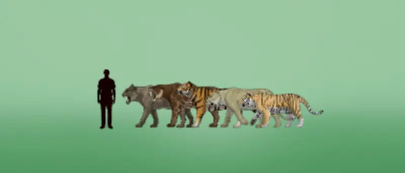 Höhlenlöwen: Studie enthüllt wahre Evolutionsgeschichte der Riesenkatzen