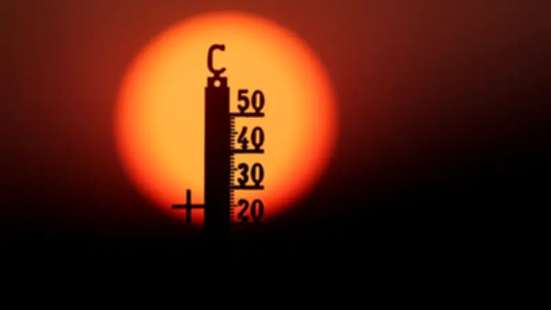 Historische Hitzewelle: 41,5 Grad in Deutschland – Rekorde purzeln in Europa