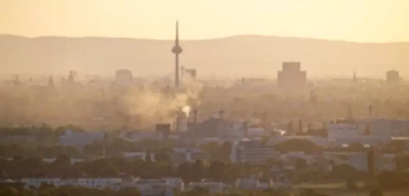 Hitze-Check 2026: Fast eine Million Stadtbäume in Deutschland verschwunden