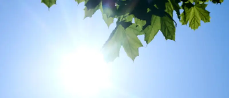 Hitze in Berlin und Brandenburg: Bis zu 34 Grad am Mittwoch