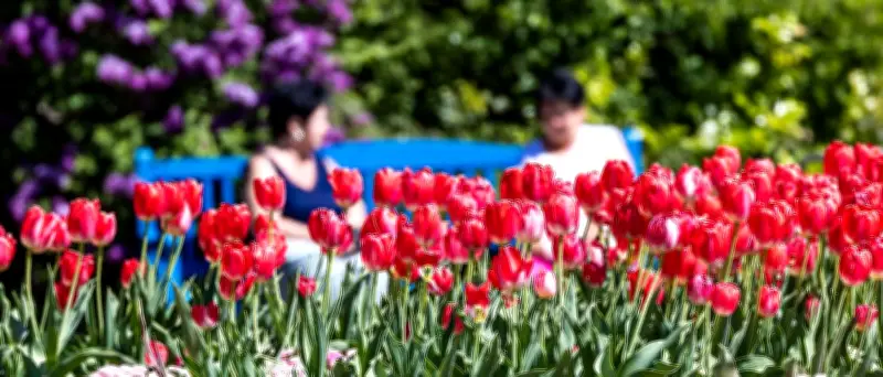 Hitze in Berlin und Brandenburg: Bis zu 35 Grad am Donnerstag erwartet
