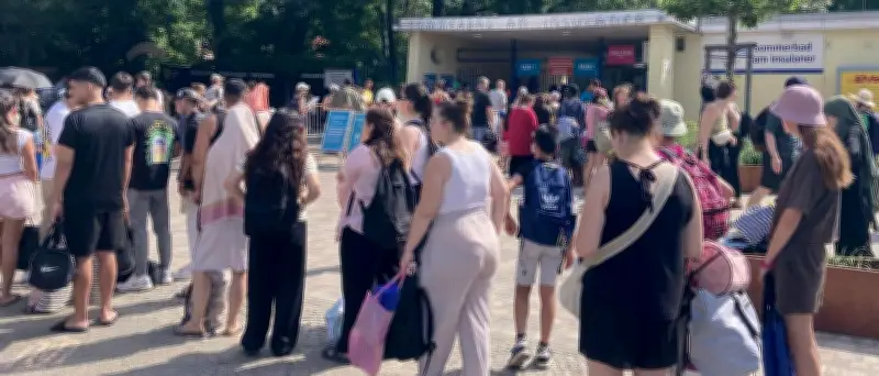 Hitzewelle in Berlin: Temperaturrekord mit 39,9 Grad, Freibäder geschlossen