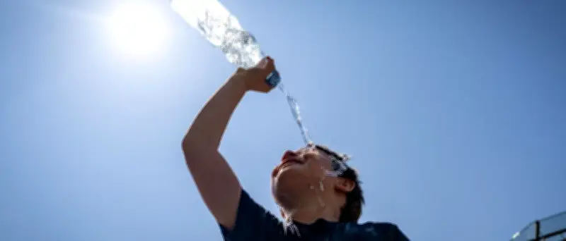 Hitzewelle in Deutschland: Bis zu 40 Grad und heftige Unwetter erwartet